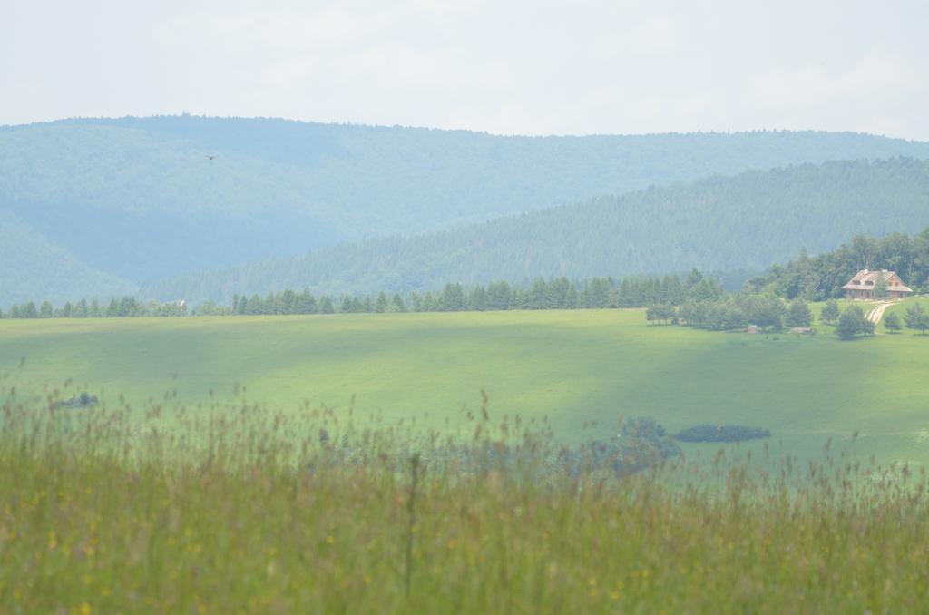 Schronisko Gorskie Nad Smolnikiem Luaran gambar